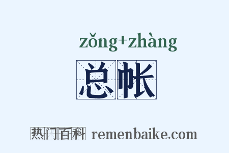 总帐是什么意思的图片